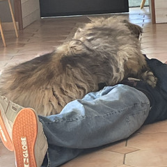 ESPRIT DIVAGUE - [set mental acidcore]