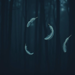 Weightless