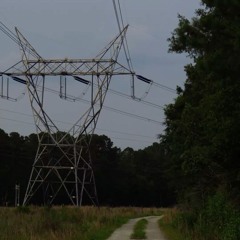 skinny love (cover) [prod. flower]