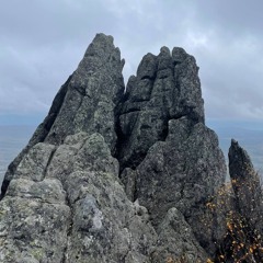 October 2k24 Samples