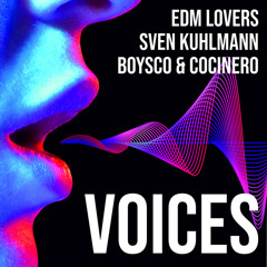 Voices (Radio-Edit)