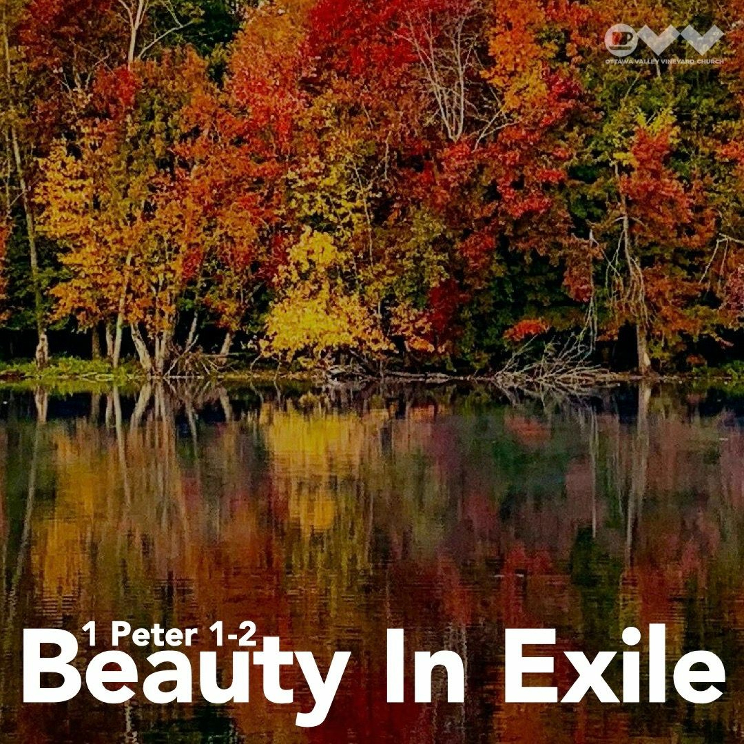 Beauty In Exile episode artwork