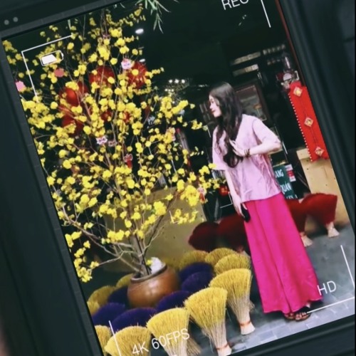 nhạc xuân 2025🥰🌷
