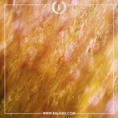Joe lo:fi - July 2024