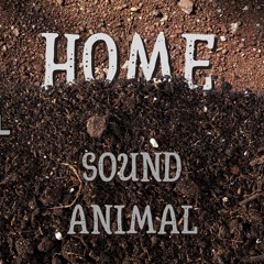 Home