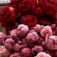 Lost On Park Avenue (NightCore)