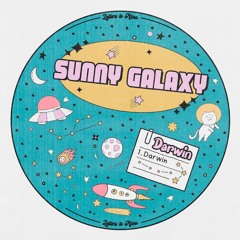 PREMIERE: Sunny Galaxy - Darwin [Letters To Nina]