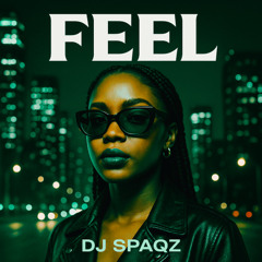 DJ Spaqz - Feel