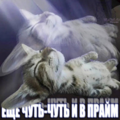 пока мы живы