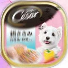 dog food (Bloomcrzy)