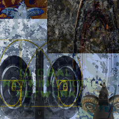 spirale de Fibonacci (drugsmoneycanbuy)