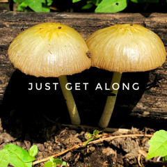 JUST_GET_ALONG (LDSR209/2)