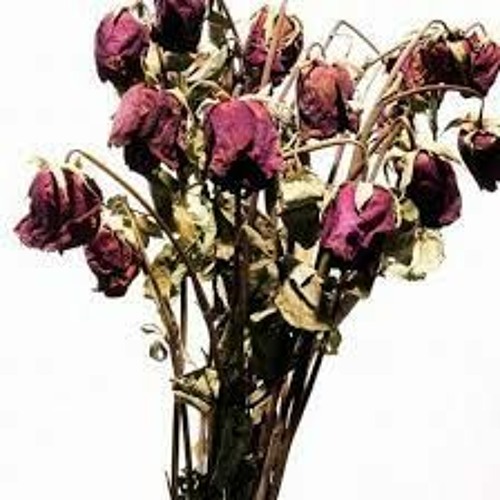 Stream 01 Dead Flowers by Angel Musical Adventures Listen online for