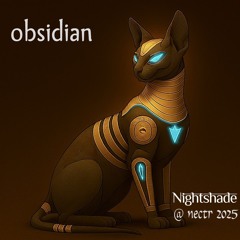 Obsidian- Nightshade @ NECTR 2025 (Sun Dodger Ancient Future Mix)