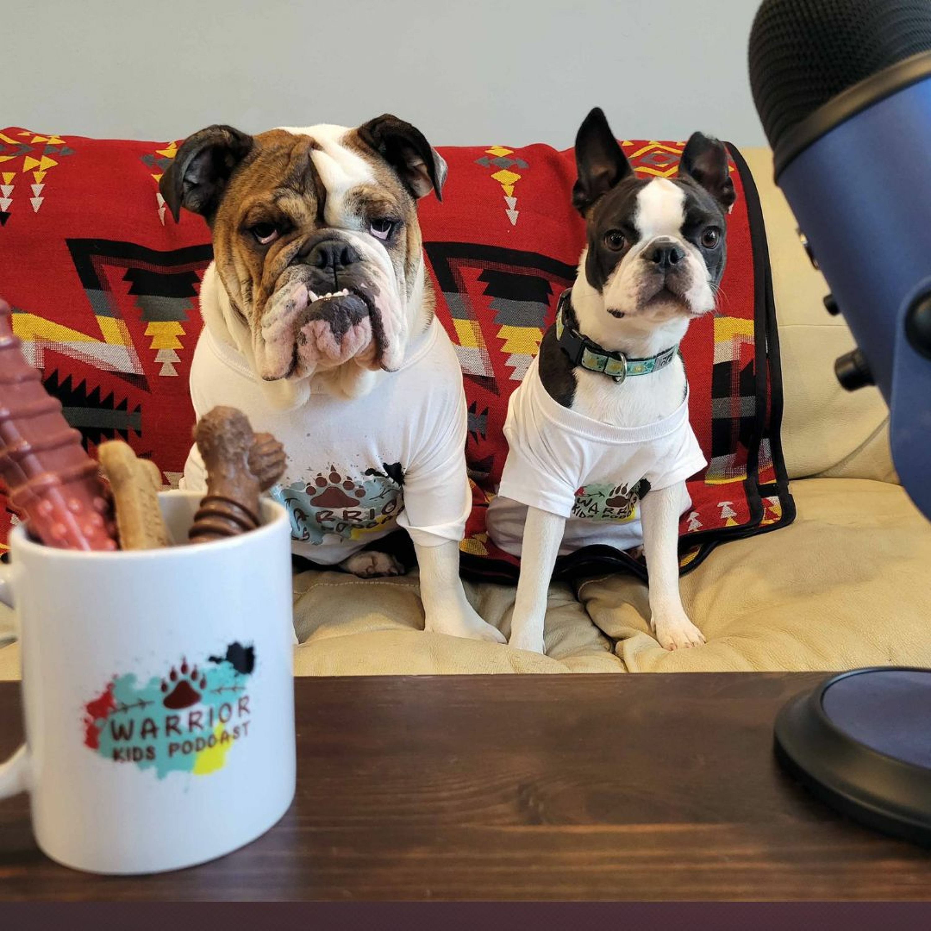 Warrior Kids Podcast
