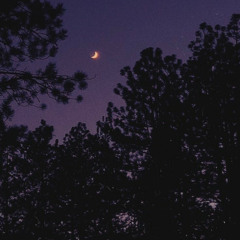 NoLoveHook(Prod.allyd)