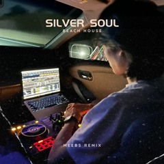 Silver Soul (Meebs Remix)