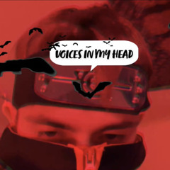 Voices in my head