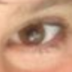 are-you-leaf-eriksson-part-II