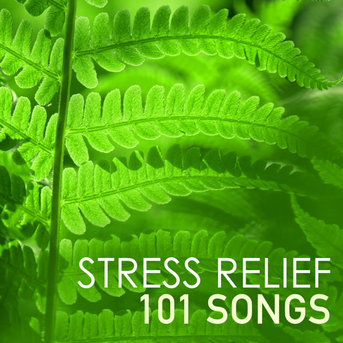 Ambient Brainwave Entrainment (432Hz Frequency)