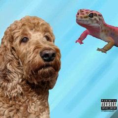 Underground 2010s Rap Type Beat