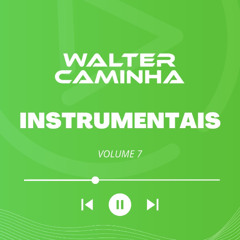 WALTER CAMINHA - INSTRUMENTAIS VOL.7 PREVIEW - PIX/PAYPAL