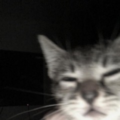 IGUAL ARROZ DE MAMÃE