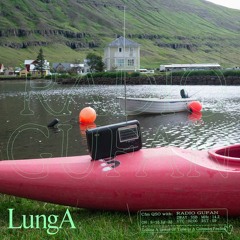 DJ Fiðla for LungA BL1SS