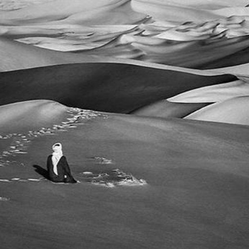 وَقُلِ الْحَمْدُ لِلَّهِ سَيُرِيكُمْ آيَاتِهِ فَتَعْرِفُونَهَا | سعد أزويت