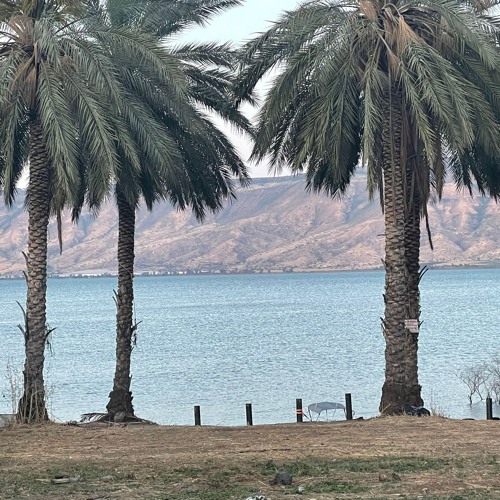 Amit&atar 15-8-25 Sea of Galilee set.WAV