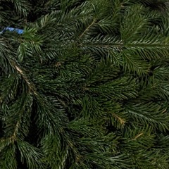 nostalgic christmas type beat // christina perri - something about December sample