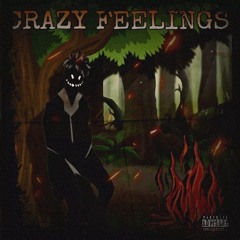 Crazy Feelings (prod.sogimura)