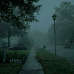 beanie (instrumental slowed & reverb with rain)