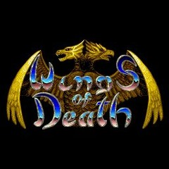 Wings Of Death Level 5 (Space Mix)