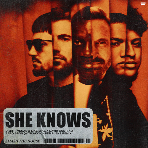 She Knows (Per Pleks Remix) [feat. Akon]