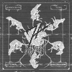 SVDDEN DEATH x PEELINGFLESH x NIMDA x YVM3 - MIDNIGHT (Hyper edit)