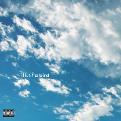…like a bird