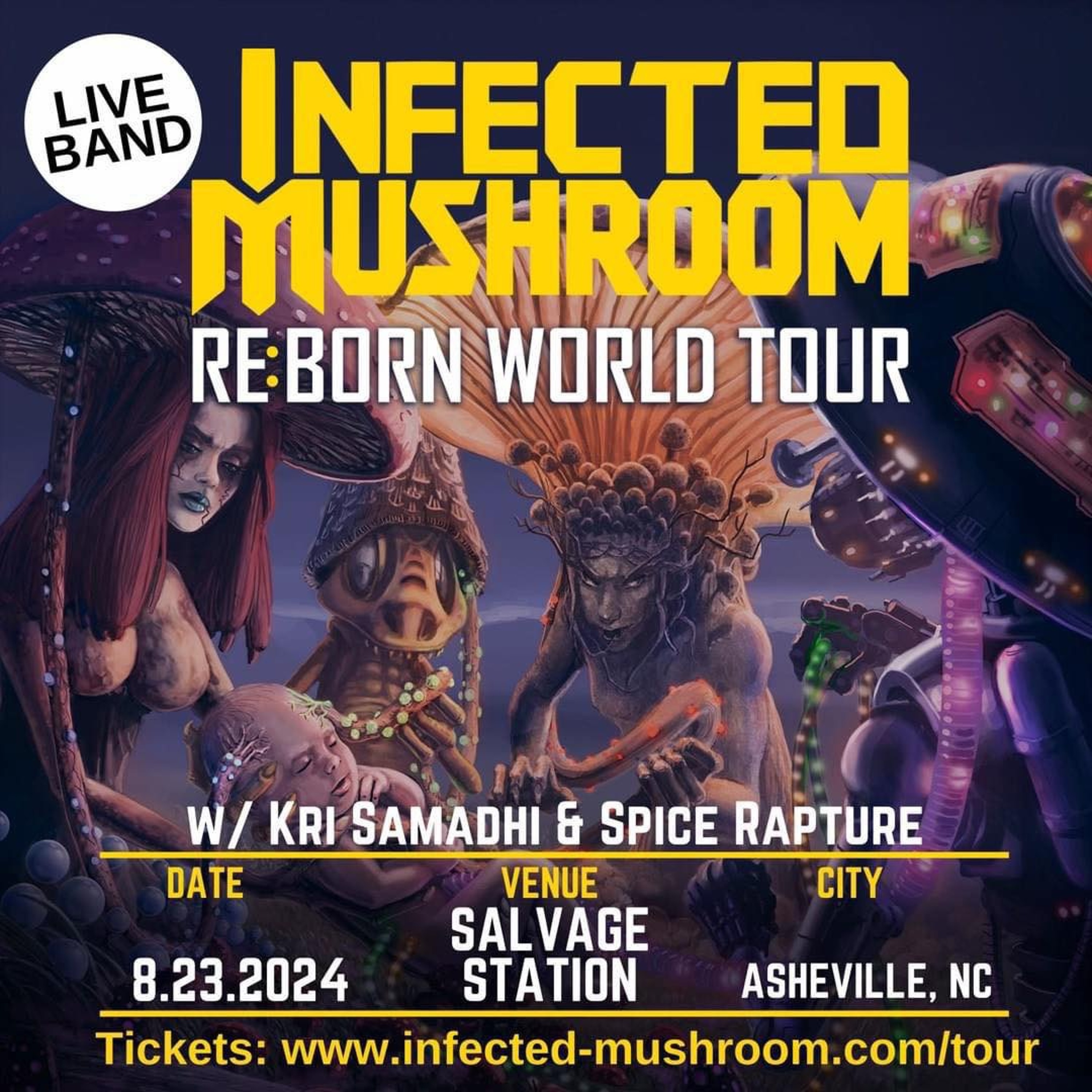 Spice Rapture- Dj Set At Infected Mushroom - Asheville 2024 episode artwork