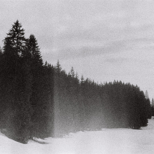On a hill