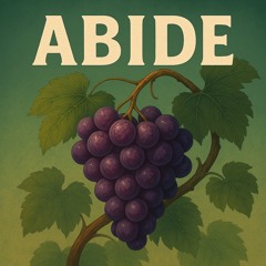 Abide