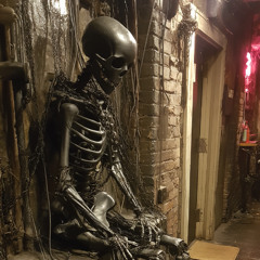 Half a Body