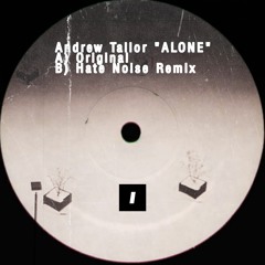 Andrew Tailor - Alone (Hate Noise In Zansibar Remix)