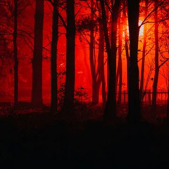 Whispers In The Night