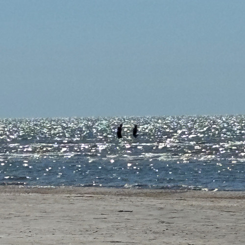 u know me so well inst