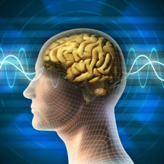 Enchanted Brain Gains