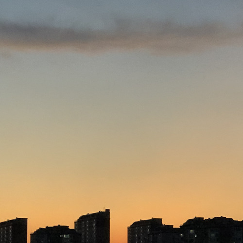한나의 사역