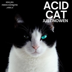 Justin Owen - Acid Cat (Original Mix) [Na Na Na 3.0]