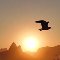 CALOR DO SOL (demo track)