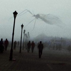 M4IZ - BASIC SQUARE (JAN VIP) CLIPpp