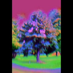 Boyyscouttfrizz - Acid Trip -MixedBySero-.mp3